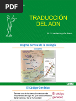 4 Traducción ADN - II F