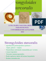 Strongyloides Stercoralis