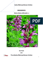 Monografia Salvia Prontissima