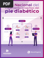 Guía Nacional Tratamiento Pie Diabético