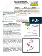 Guia 3 Periodo 10 EL ADN Y SU ESTRUCTURA-1