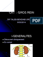 Cat Gros Rein