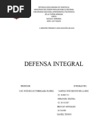 Defensa Integral