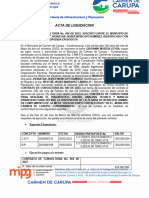 Acta de Liquidacion Consultoria