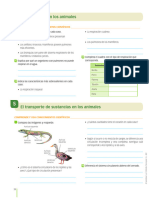 Actividad 04 y 05 - Respiración y Trasporte de Sustancias