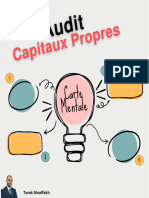 Carte Mentale Audit Des Capitaux Propres