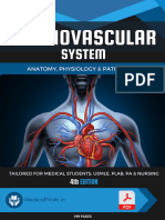 Cardiovascular System