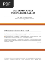 Determinantes Sociales de Salud