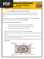 11.1. Transport and Storage in Plants