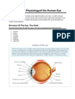 Anatomy and Physiology of The Human Eye