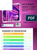 PP4 Tuberculosis