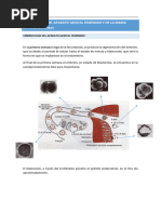 Guía Gineco HNC