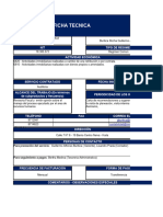 Informe Auditoria Ib