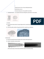 Bot 301 Mycology Notes Part 2 25TH Sept.