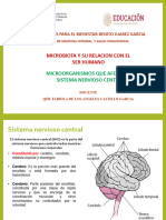 Microorganismos Que Afectan Al Sistema Nervioso