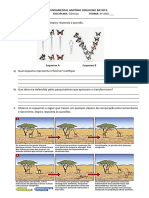 Atividade Teorias Da Evolução