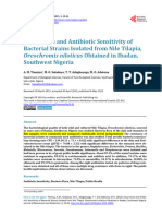 Tiamiyu - Occurrence and Antibiotic Sensitivity of Bacterial Strain Isolated From Tilapia