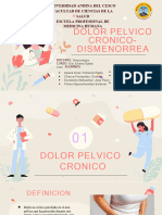 Dolor Pelvico Cronico Dismenorrea EXPOSICIÓN 3ER APORTE GRUPO 7