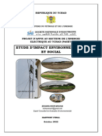 Etude D'impact Environnemental Et Social