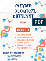 Enzyme - Group 3