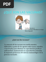 Qué Son Las Vacunas