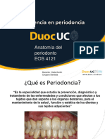 Clase Periodoncia, Anatomia Del Periodonto