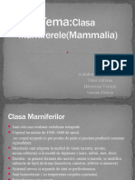 Clasa MAmiferelor