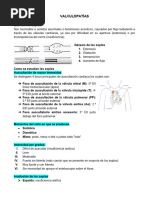 14 Valvulopatias