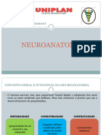 01neuro-Fisio Uniplan 2024.1