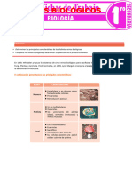 Los Reinos Biologicos para Primer Grado de Secundaria