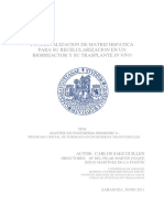 Funcionalizacion de Matriz Hepatica para Su Recelularizacion en Un Biorreactor Y Su Trasplante in Vivo