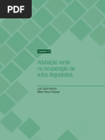 Adubacao Verde Na Recuperacao de Solos Degradados 2023