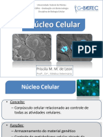 Aula Núcleo Biotecnologia