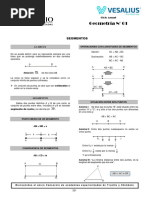 Geo. (01) Segmentos FN 221 - 226