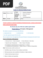 GR 12 BS Project Work Format and Guidelines 2024-25