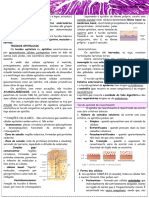 Apostilas Histologia