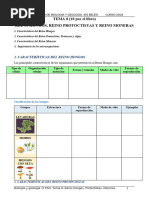 Tema 8 Fichas Reino Hongos, Protoctistas y Moneras