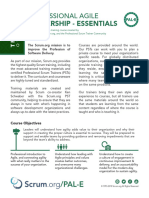 Professional Agile Leadership Essentials Pal e Datasheet