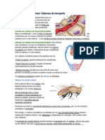 Resumos Biologia 31 de Maio de 2024