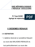 SÉMIO Oedemes Douleurs L3 Sémio 2024t