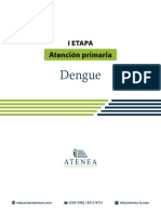 R AtencionPrimaria Dengue