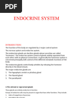 Endocrine System