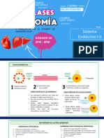 Clases de Anatomia