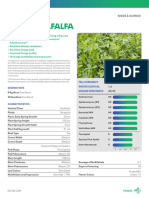 DLF - TECH - SHEET - Eclipse - Alfalfa 3