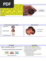 Aula 4 - Clostidioses Enterotoxemias