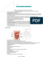 CIRURGIA c1 Aulas