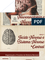 Sistema Nervoso Central