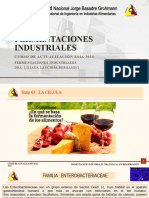 Tema 03 y 04 Fermentaciones Industriales