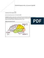 PRÁCTICAS DE PSICOFISIOLOGÍA (Segunda Sesión)