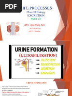 X Life Processes Excretion Module 2 of 3